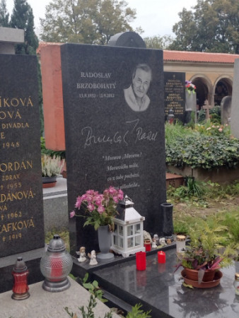 Vyšeh RBrz.jpg